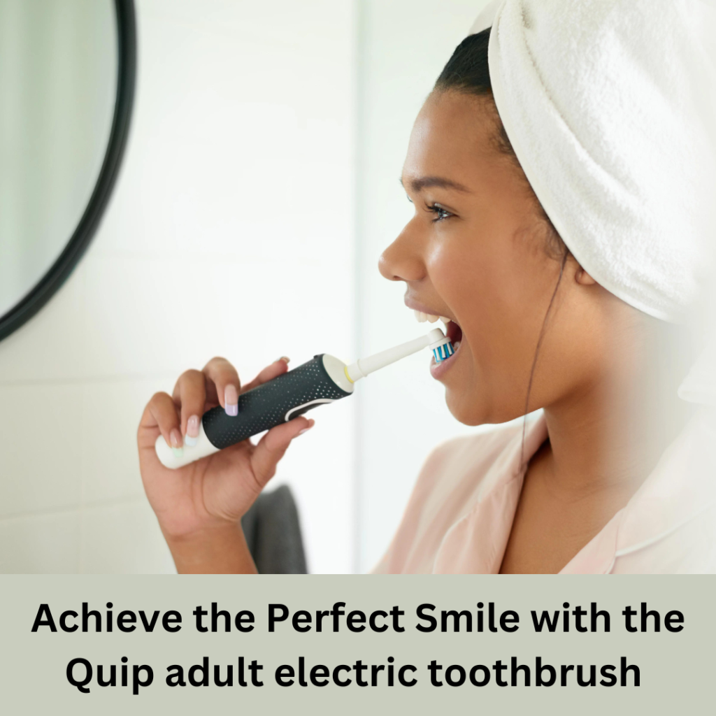 Quip Adult Electric Toothbrush Sonic Toothbrush With Travel Cover Travel Blust 