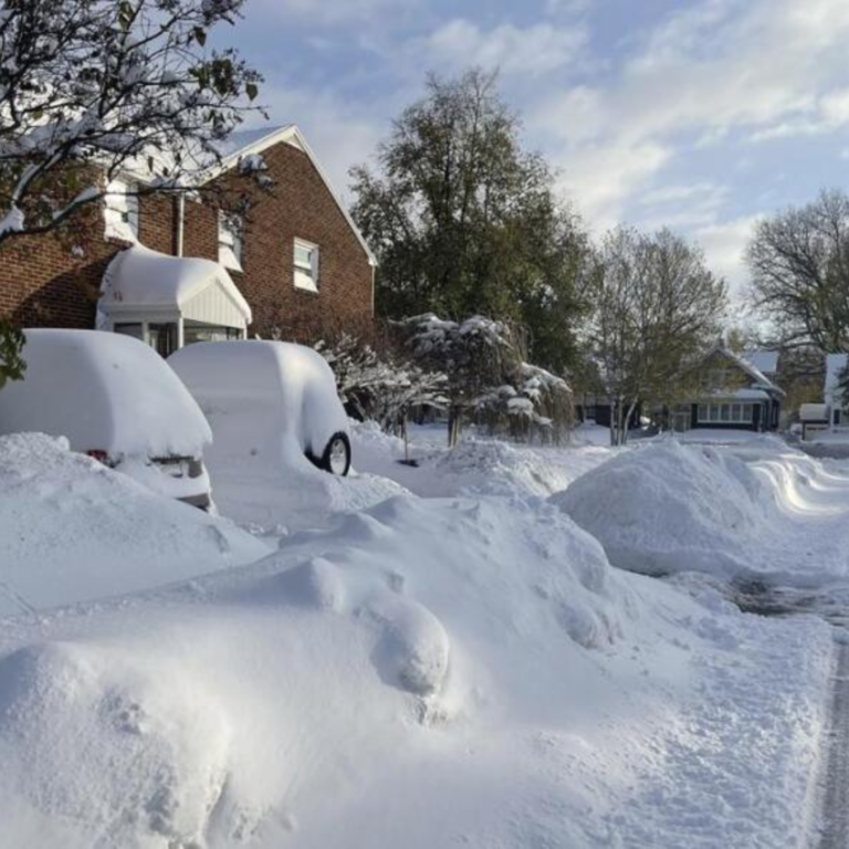 Travel ban buffalo